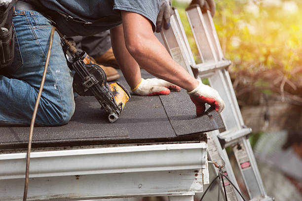 Best Metal Roofing Contractor  in Red Lake, AZ